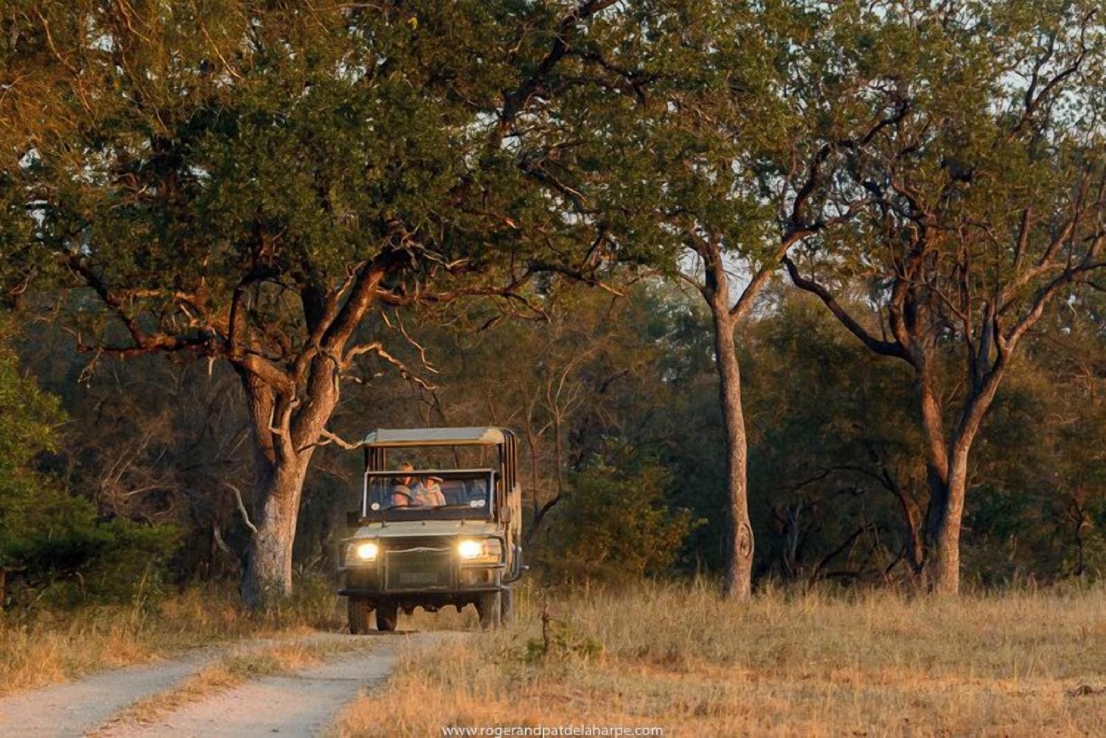 Plains Camp @ Rhino Walking Safaris