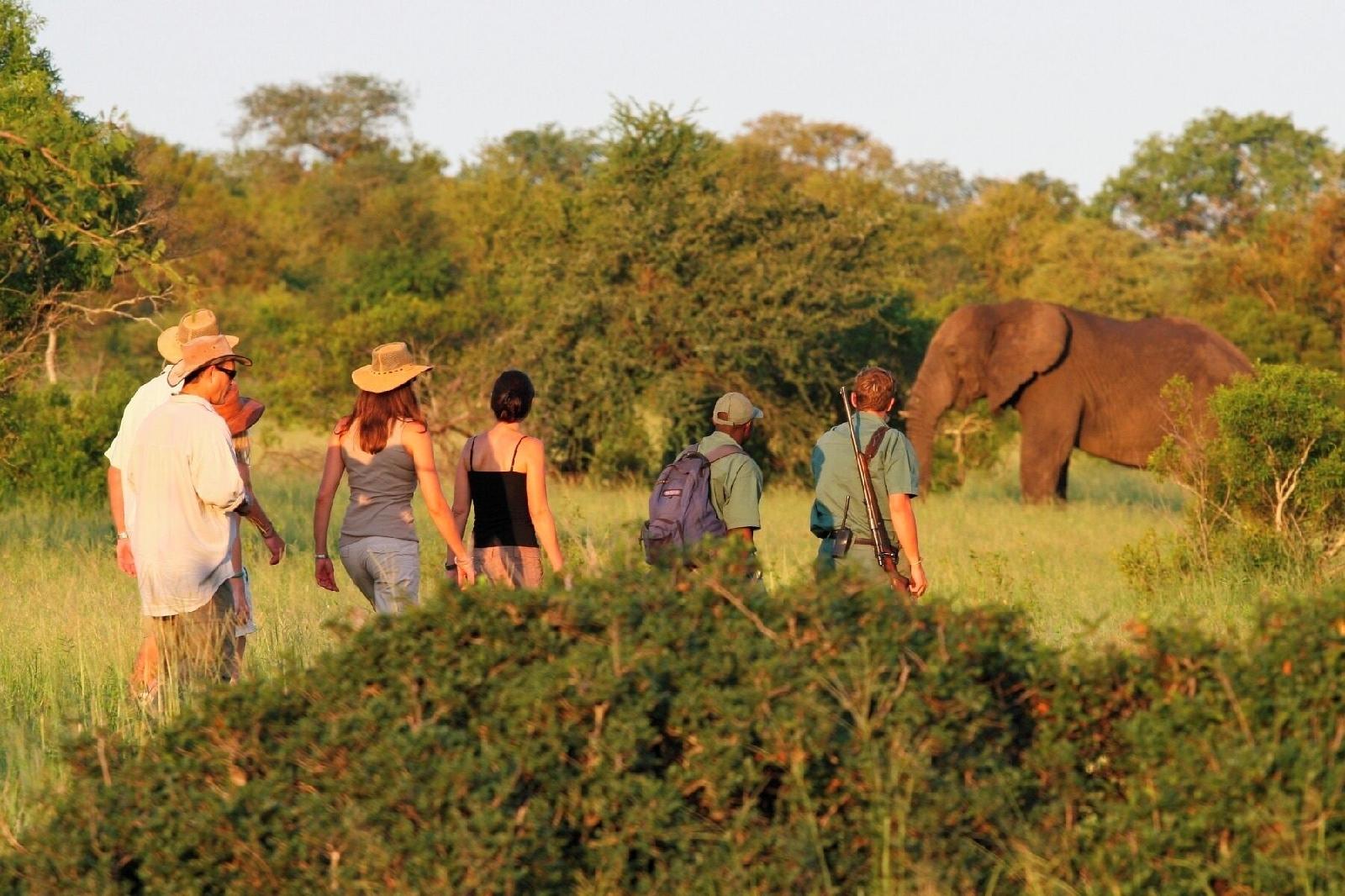 Plains Camp @ Rhino Walking Safaris