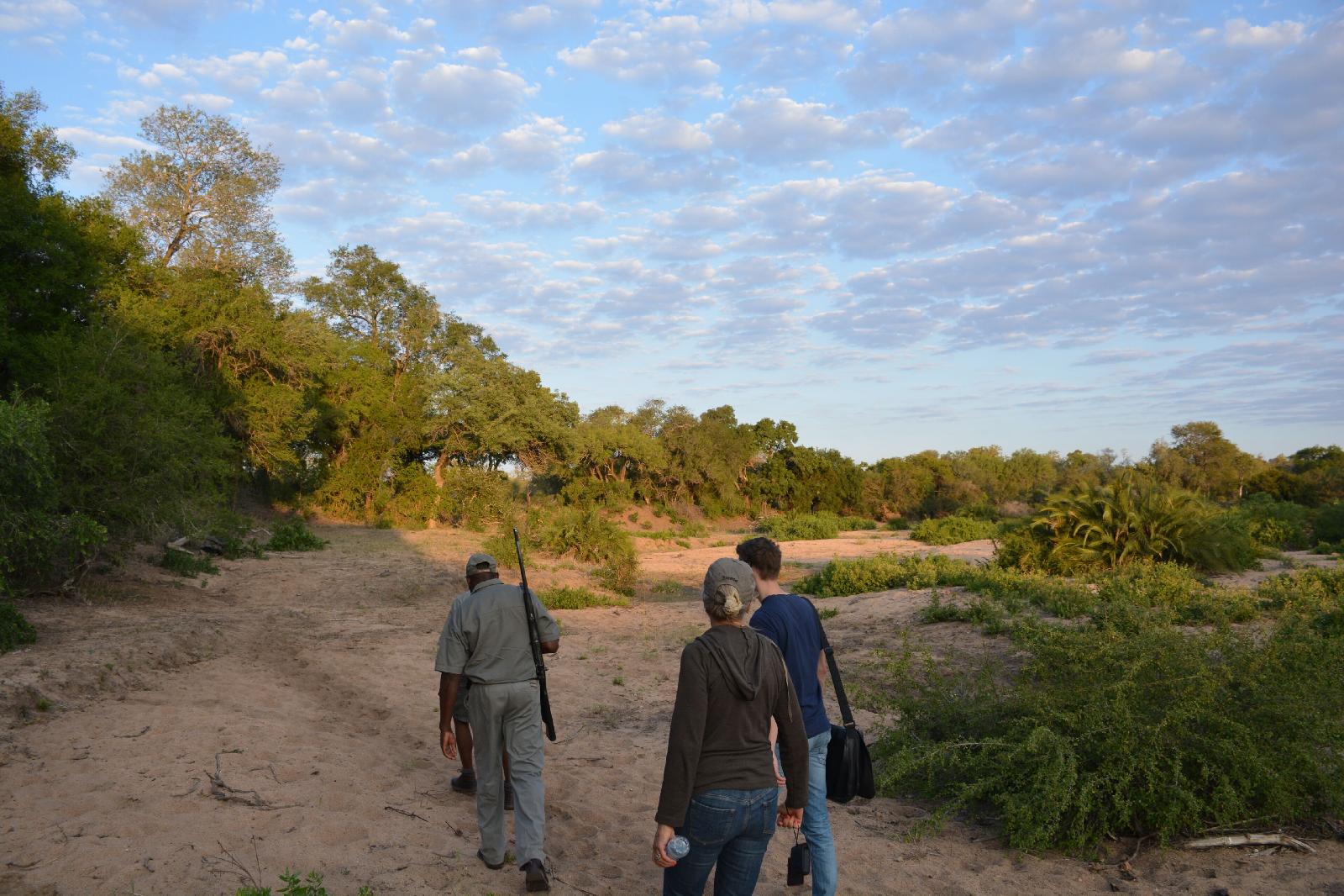 Plains Camp @ Rhino Walking Safaris