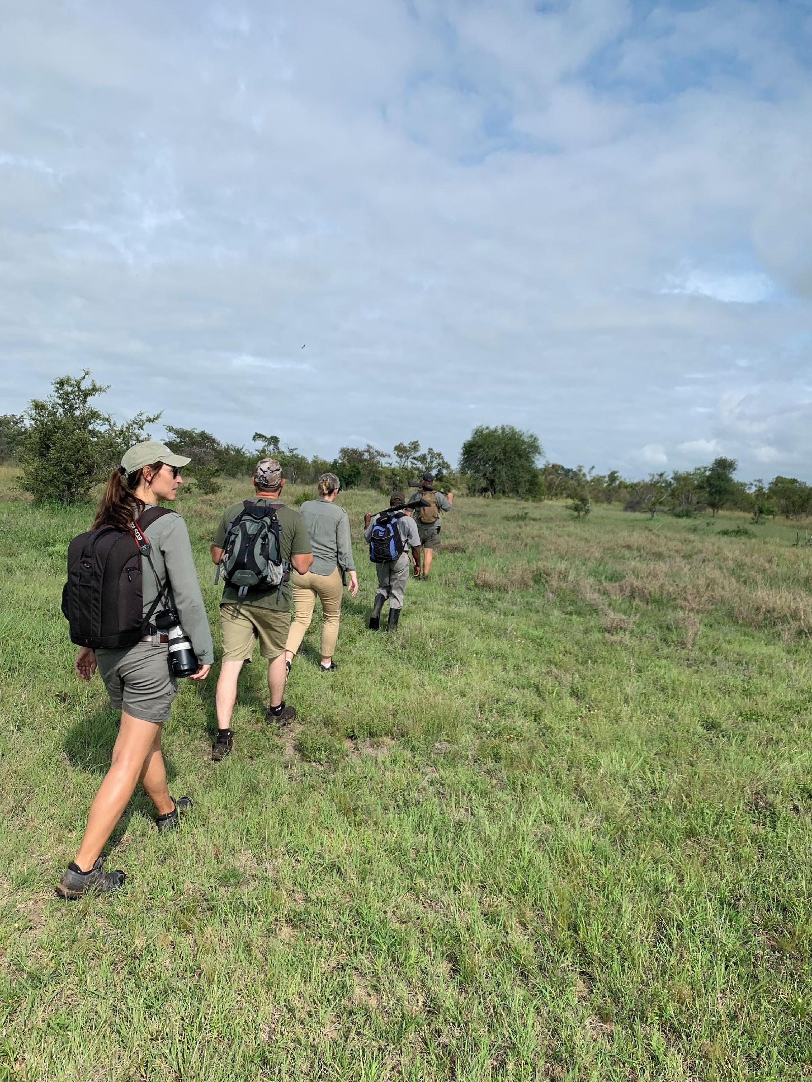 Plains Camp @ Rhino Walking Safaris