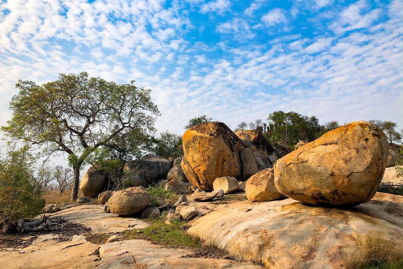 Plains Camp @ Rhino Walking Safaris