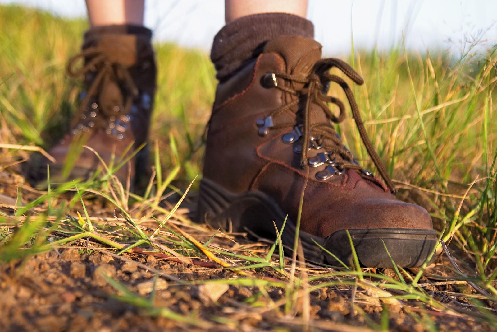 Plains Camp @ Rhino Walking Safaris