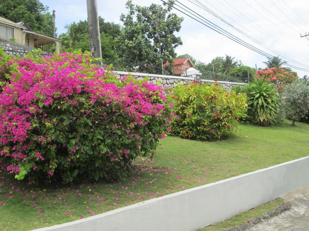 Paradise Inn