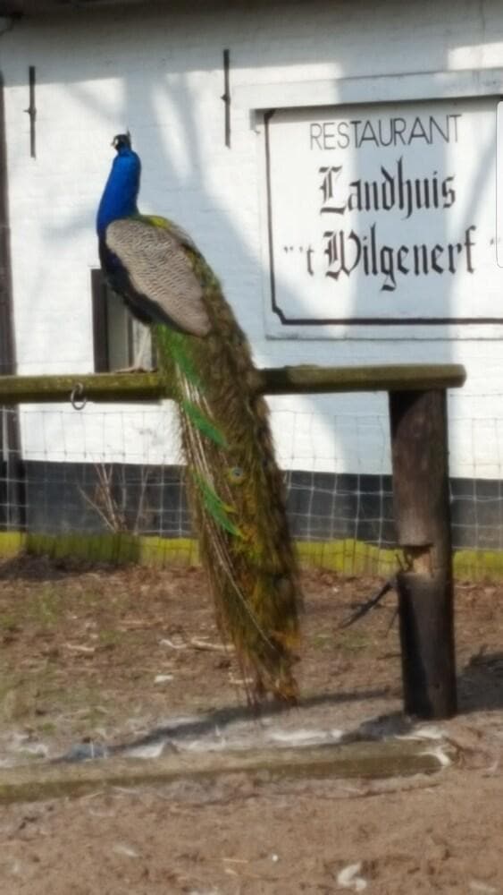 Landhuis 't Wilgenerf