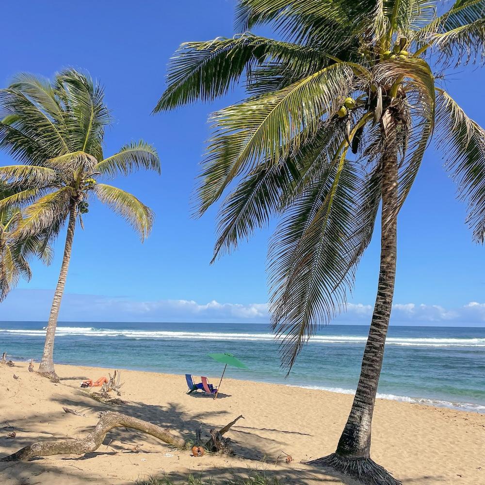 Hooked Cabarete