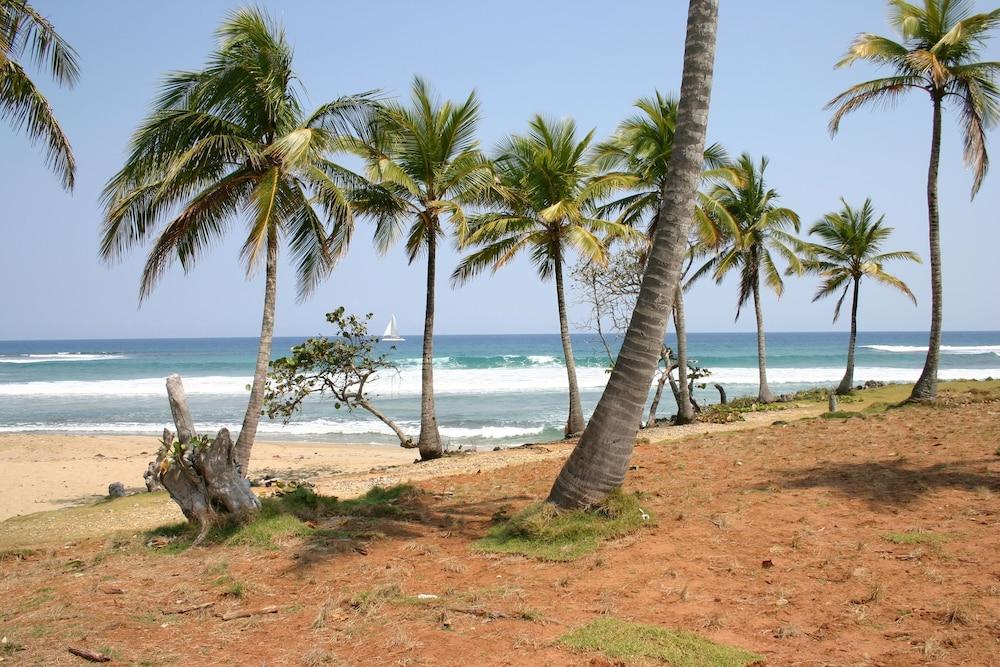 Hooked Cabarete
