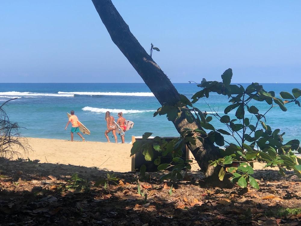 Hooked Cabarete