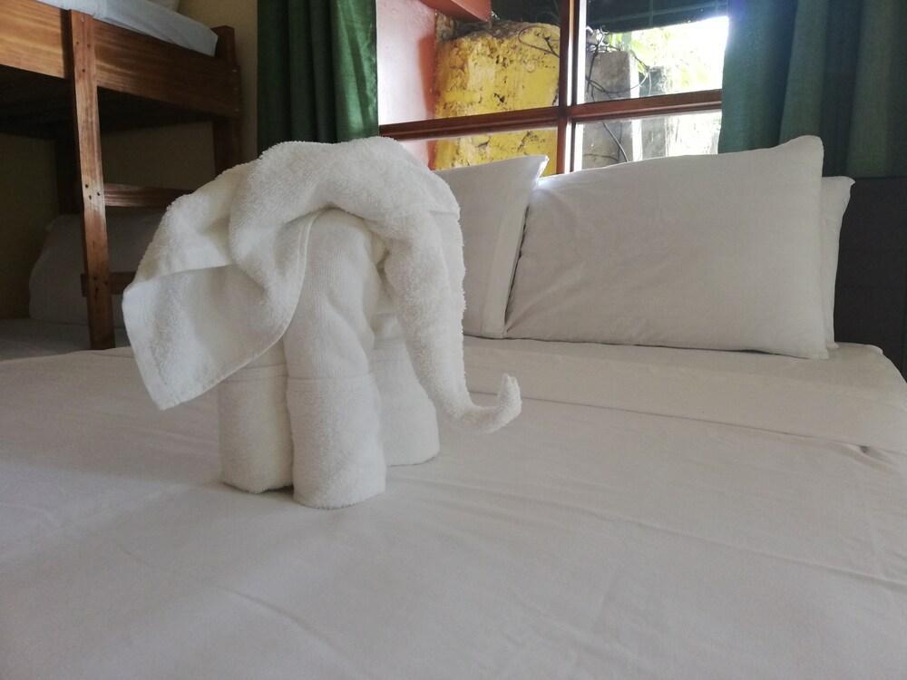 Paradise Inn