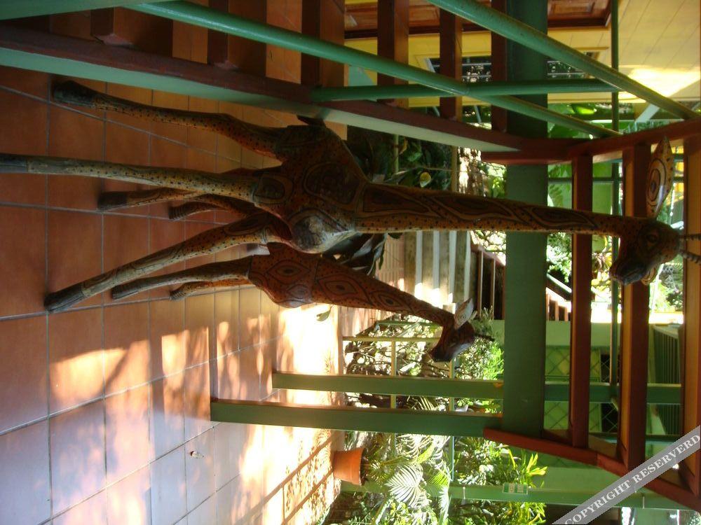 Paradise Inn