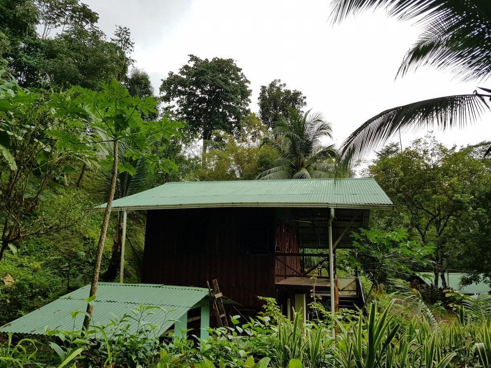 Drake Bay Paradise Lodge