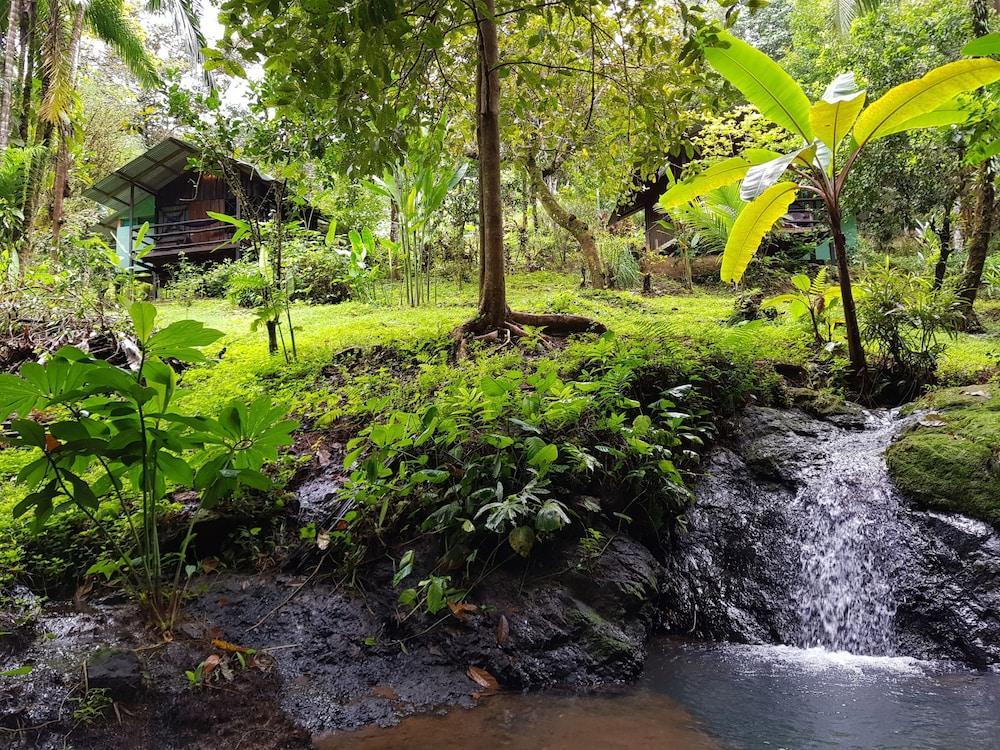 Drake Bay Paradise Lodge