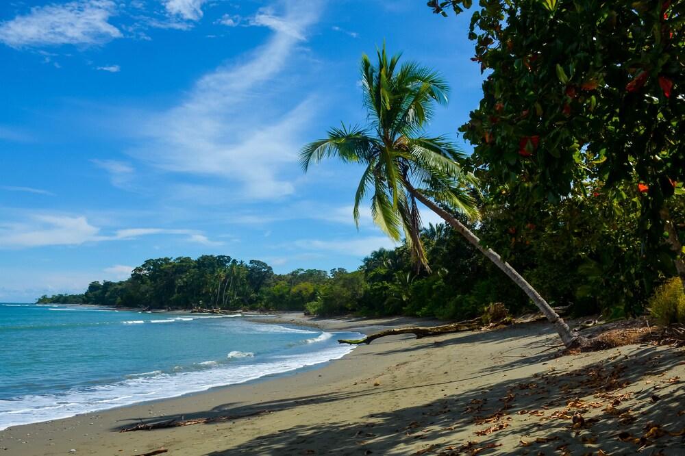 Blue Osa Yoga Retreat And Spa