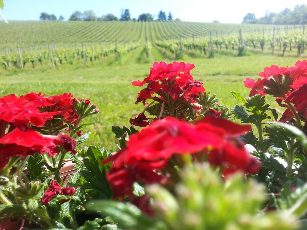 Stupnicki Dvori Winery Hotel