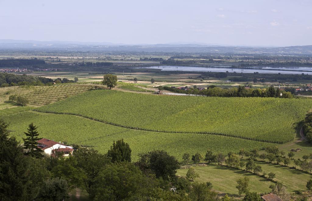 Stupnicki Dvori Winery Hotel