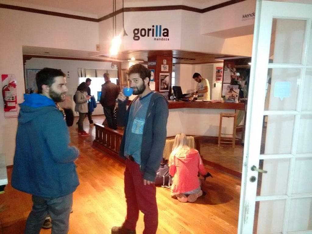 Gorilla - Hostel