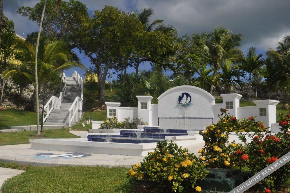 Hammock Heaven by Living Easy Abaco