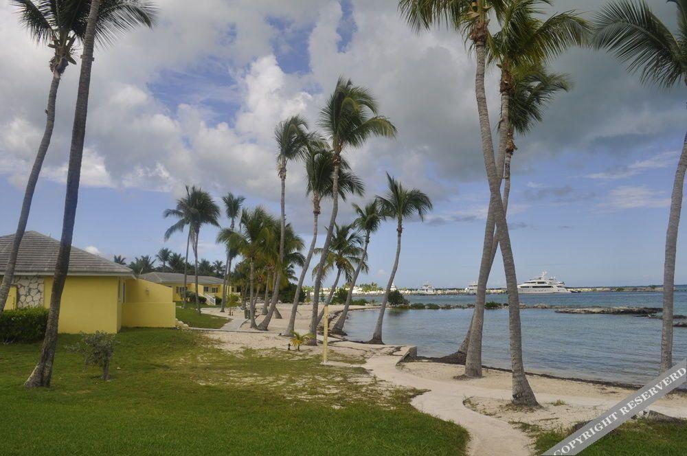 Hammock Heaven by Living Easy Abaco