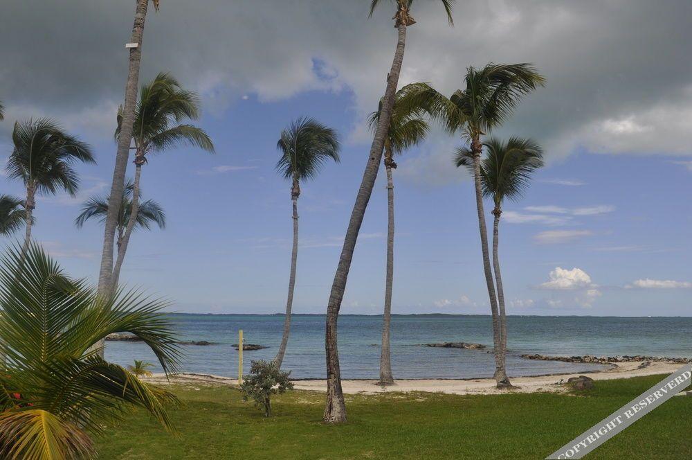 Hammock Heaven by Living Easy Abaco