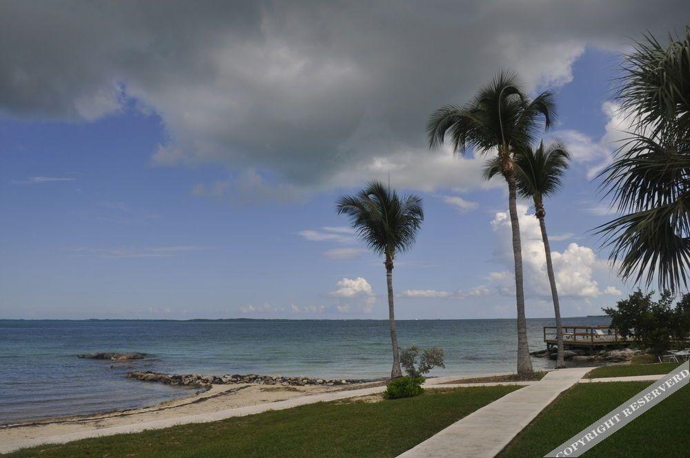 Hammock Heaven by Living Easy Abaco