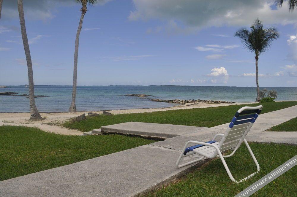 Hammock Heaven by Living Easy Abaco