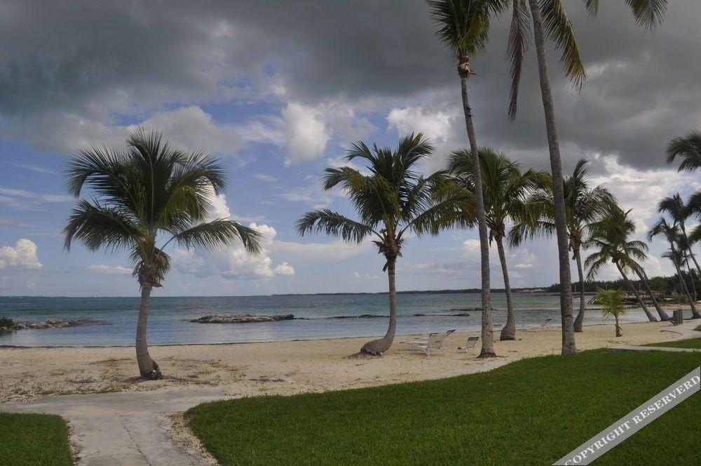 Hammock Heaven by Living Easy Abaco