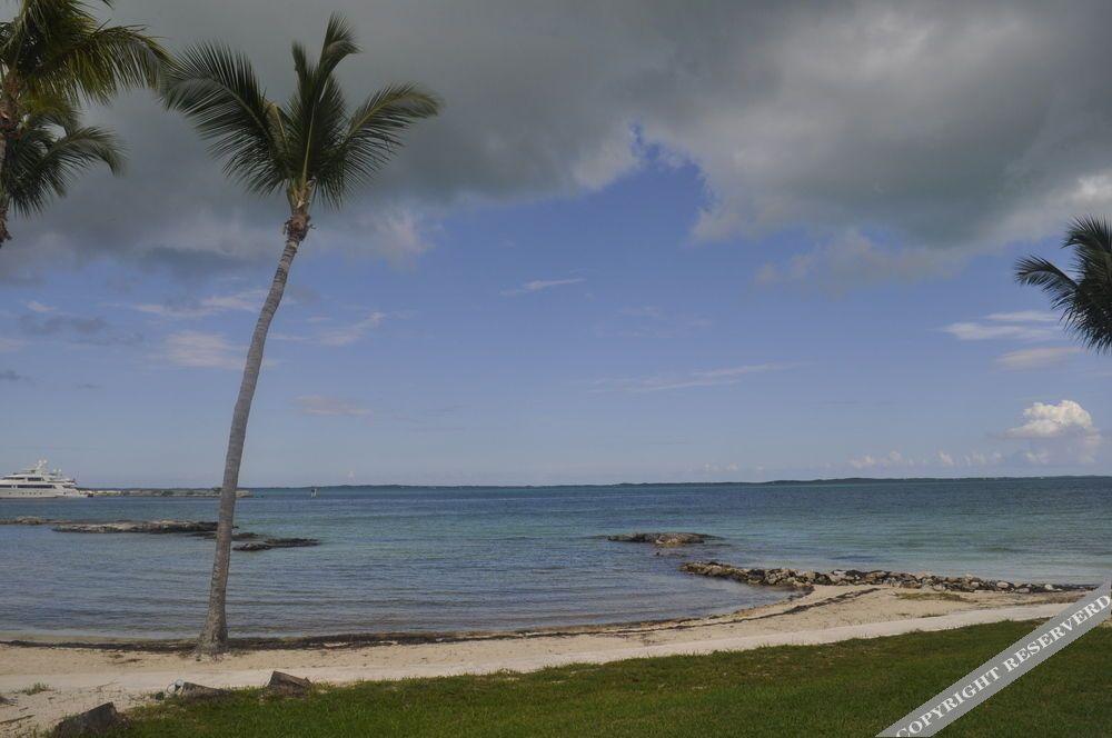 Hammock Heaven by Living Easy Abaco