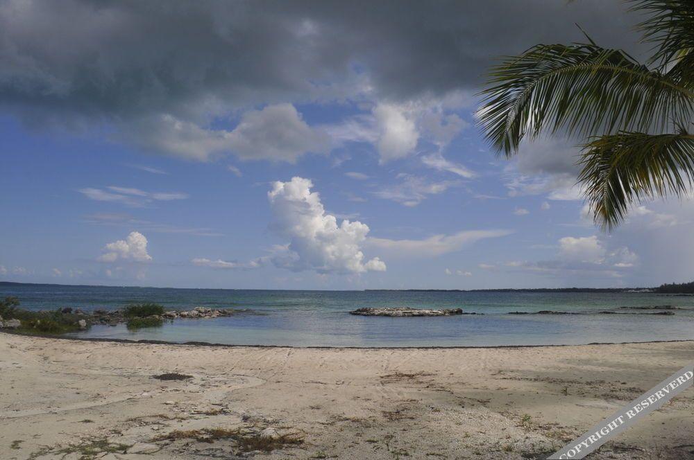 Hammock Heaven by Living Easy Abaco