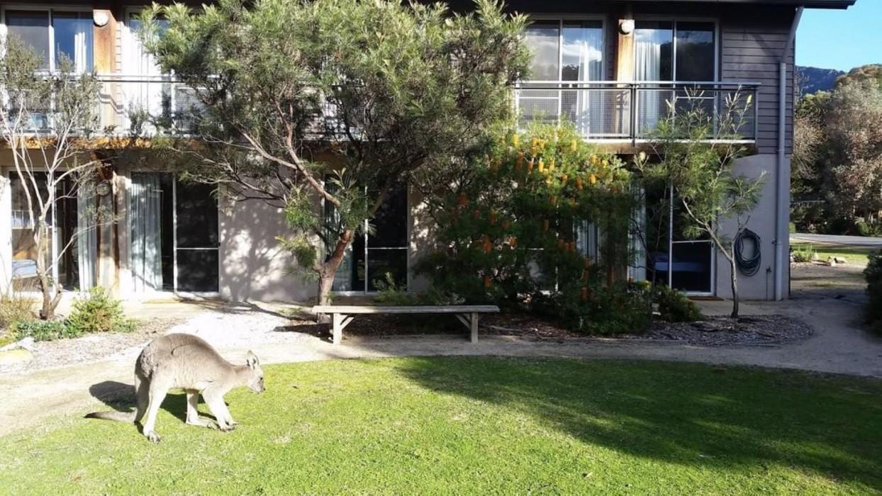 Halls Gap - Grampians Eco YHA
