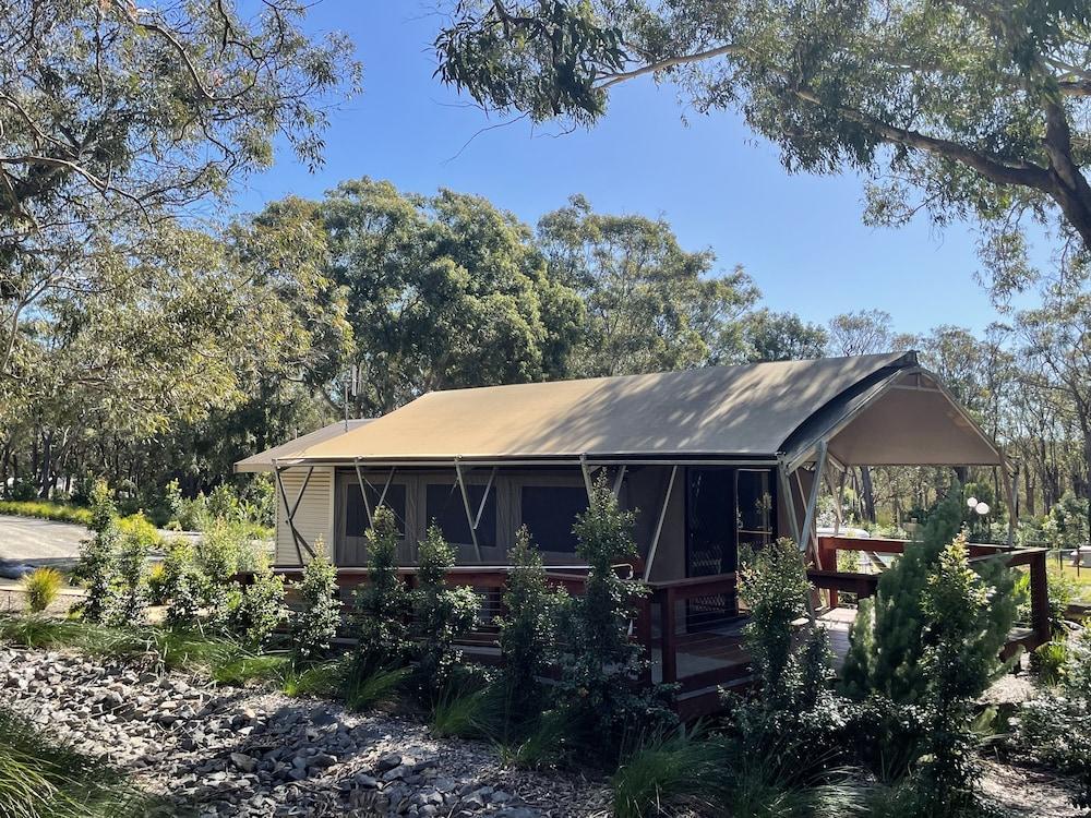 Port Stephens Treescape
