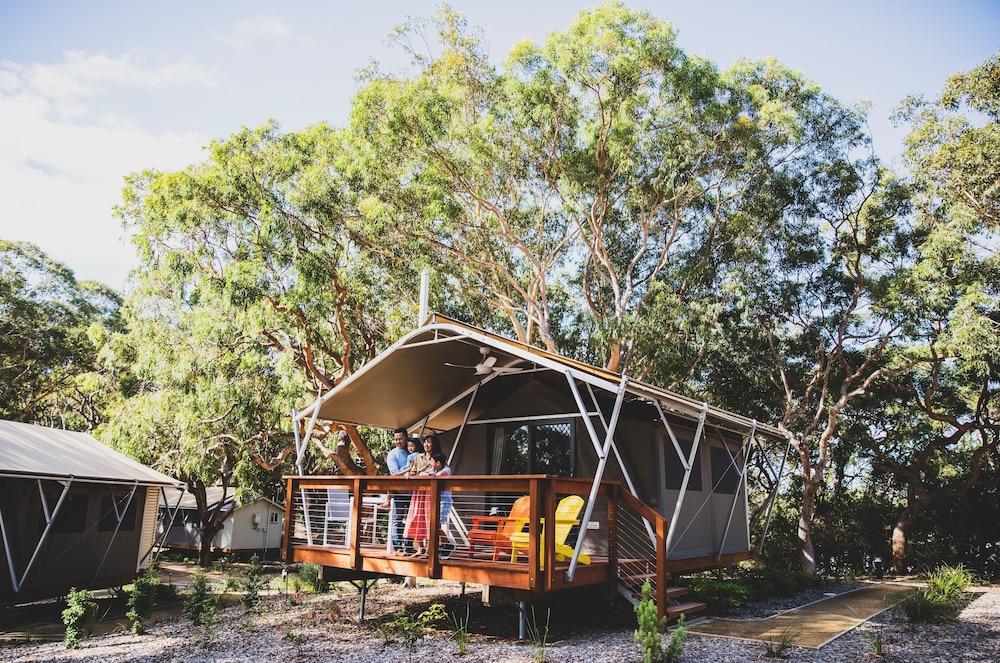 Port Stephens Treescape