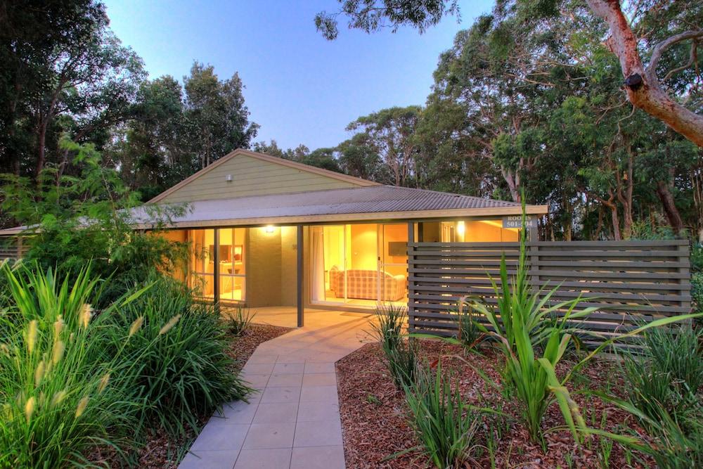 Port Stephens Treescape