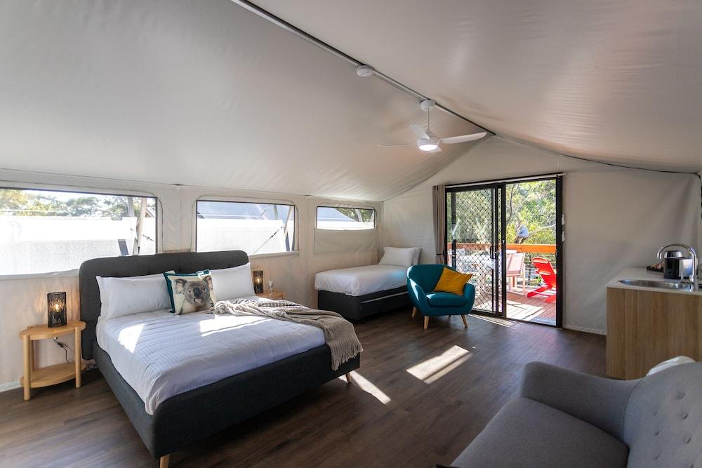 Port Stephens Treescape