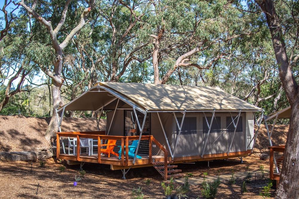 Port Stephens Treescape