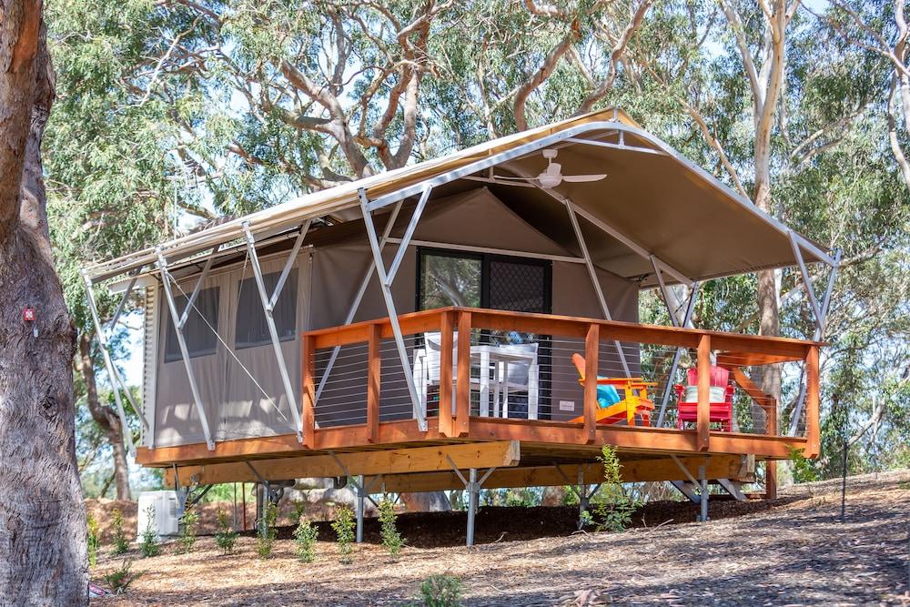 Port Stephens Treescape