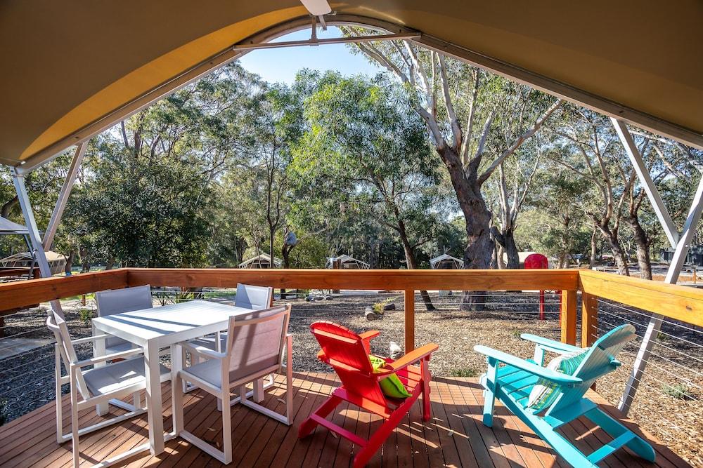 Port Stephens Treescape