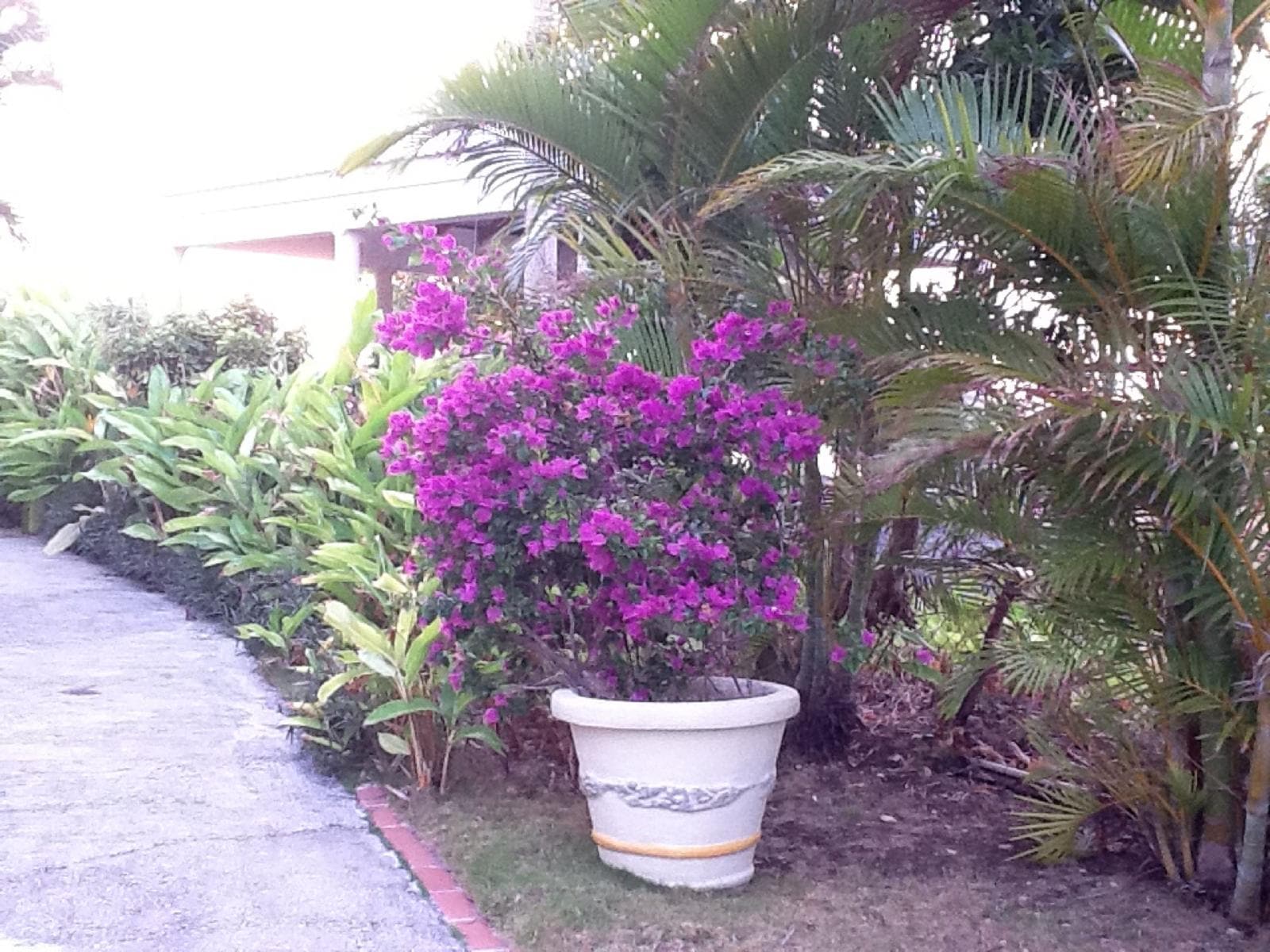 SeaBliss Villas