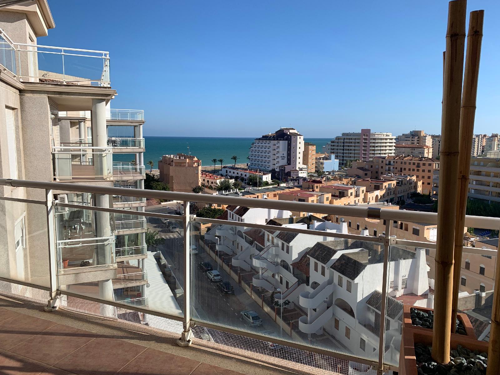 Apartamentos Argenta/Caleta 3000