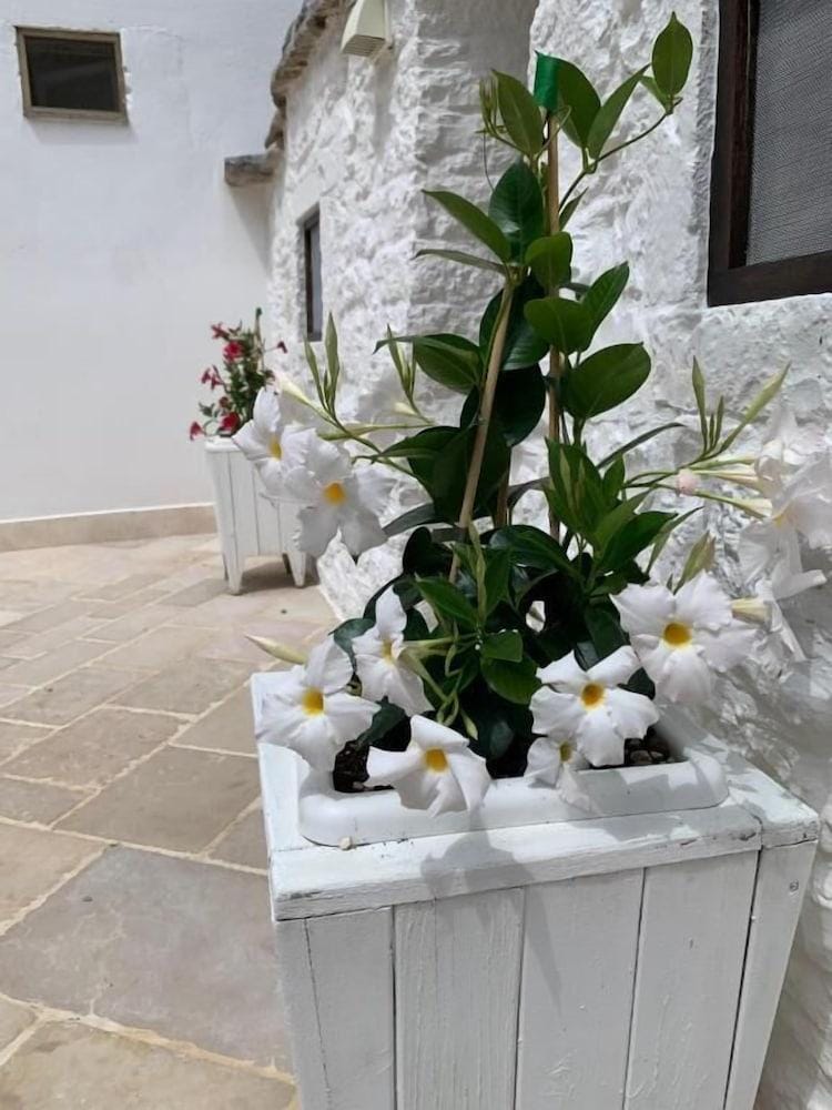 Trulli Piazza Roma