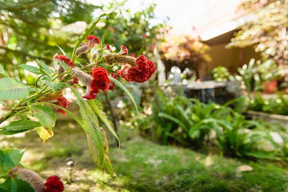 Hotel Flor De Sarta