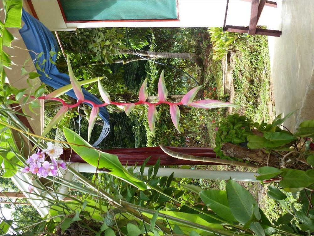 Cabinas Casa Miriam Drake Bay