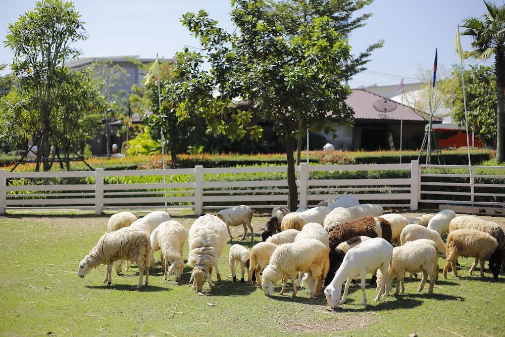 Play La Ploen Boutique Resort and Adventure Camp