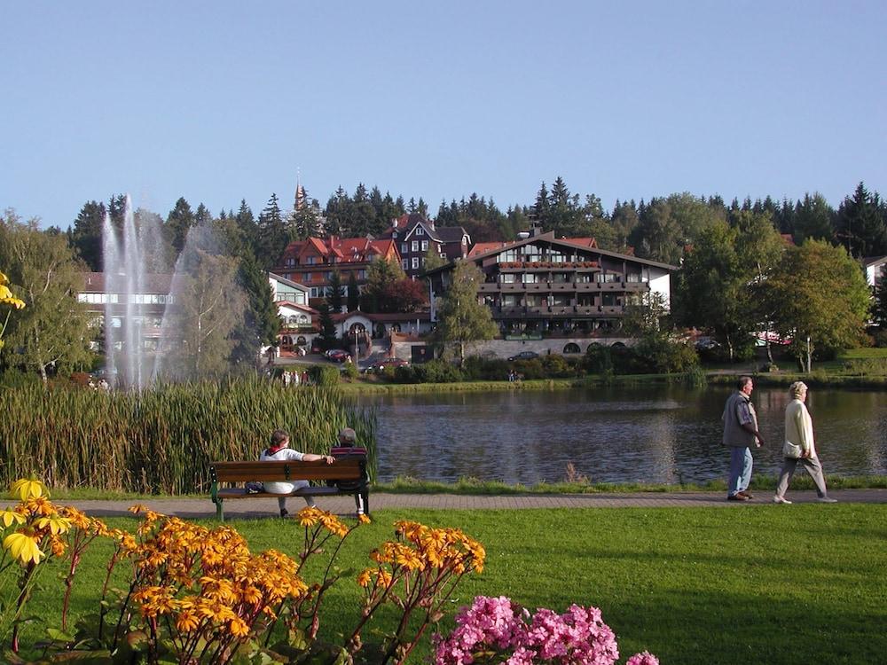 Am Kranichsee