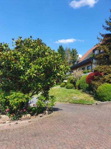 Käfernberg