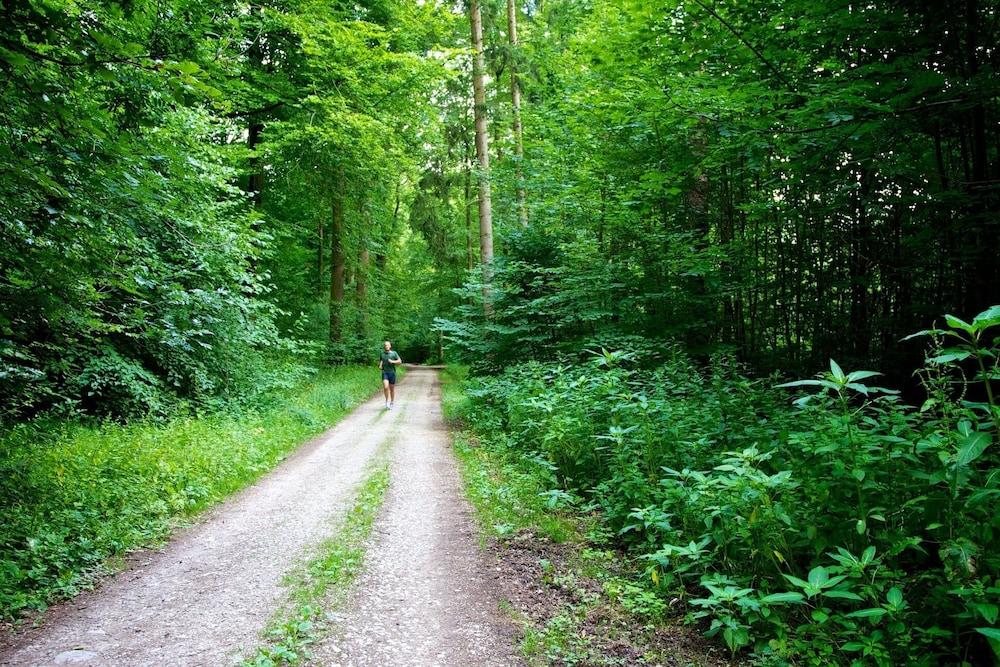 Reinhardtshof