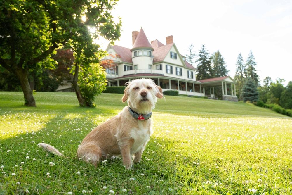 Idlwilde Inn