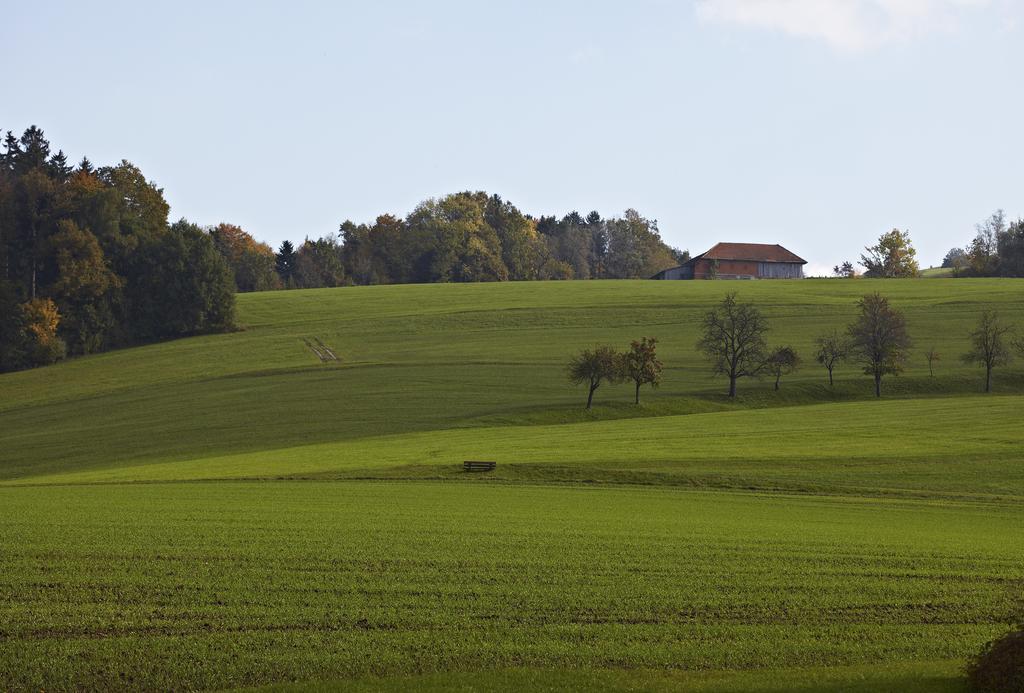 Jageredt Pension