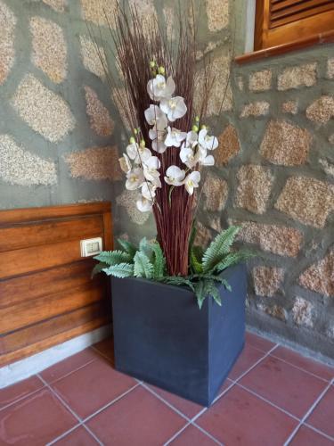 Hotel Olimpia