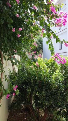 Apartaments Josep Pla