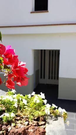 Apartaments Josep Pla