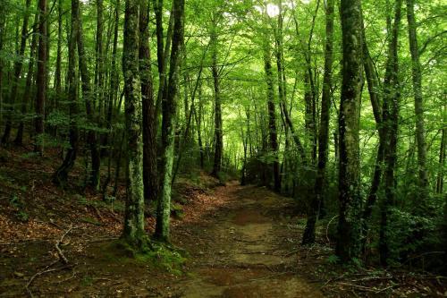 Camping Campalans